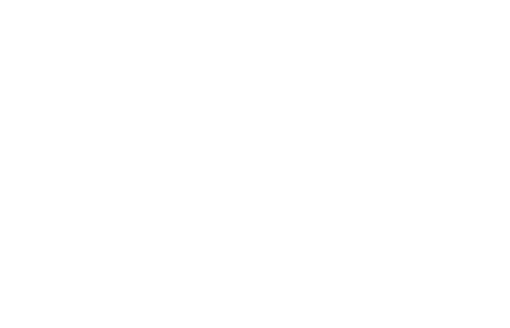 SSIP Accredited Contractor
